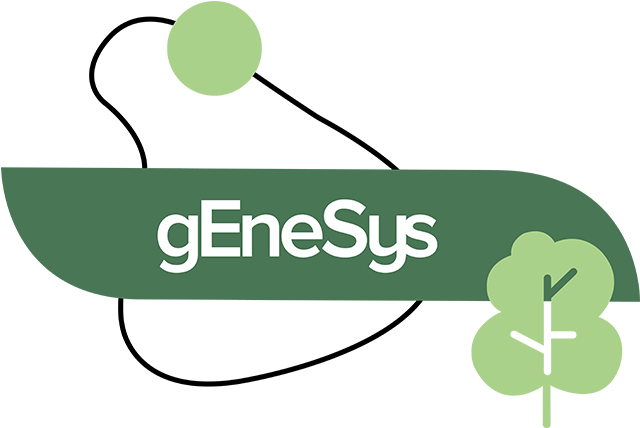 Logo PROGETTO UE gEneSys